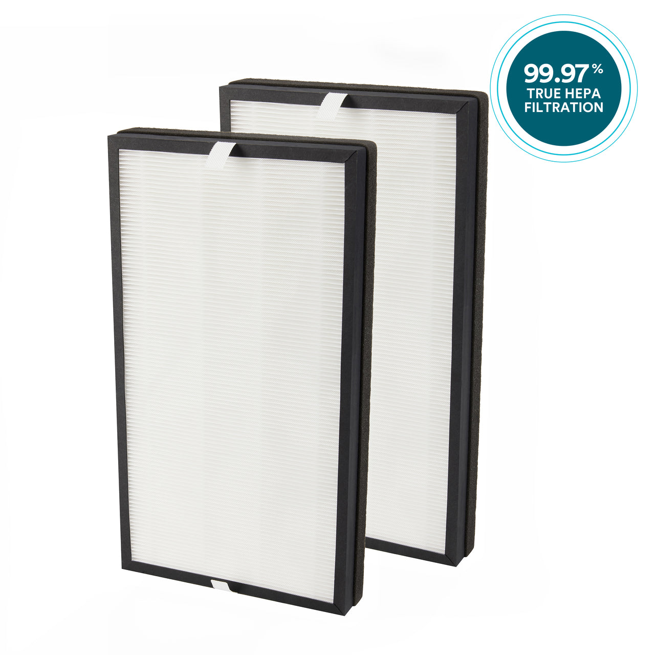 HoMedics HoMedics AP-C500 Filter replacement filter